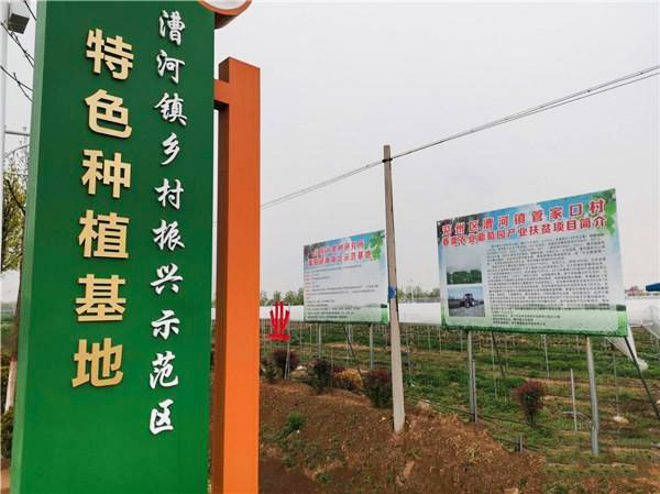 产业扶贫“子落盘活