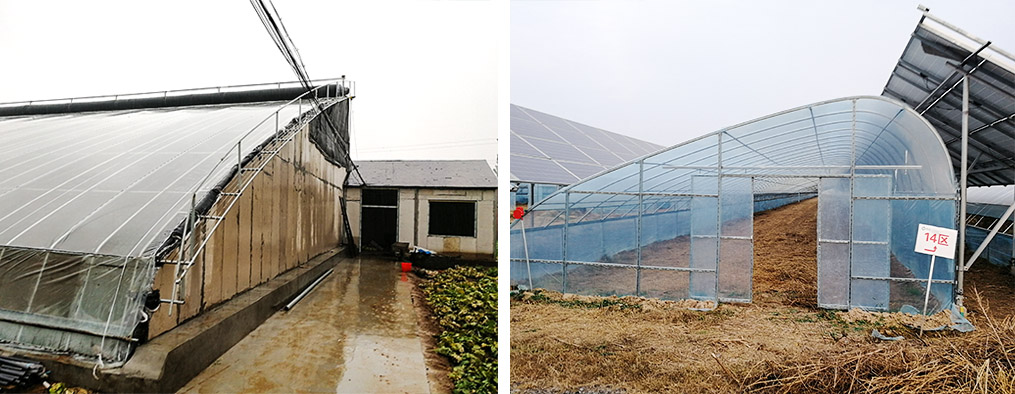 日光温室 日光温室