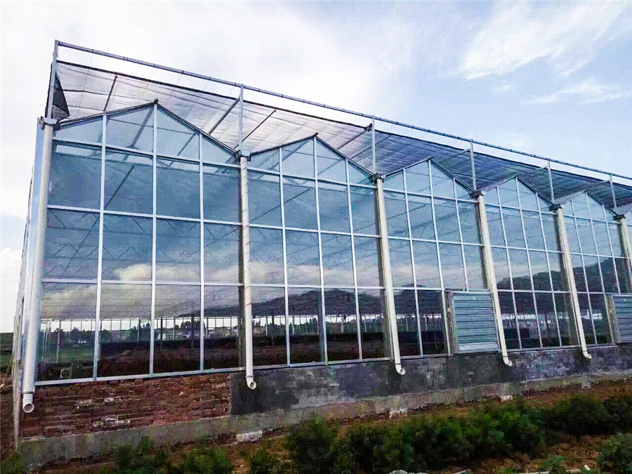 连栋智能温室 连栋智能温室