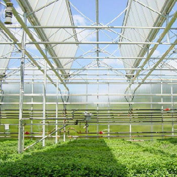 阳光板温室大棚