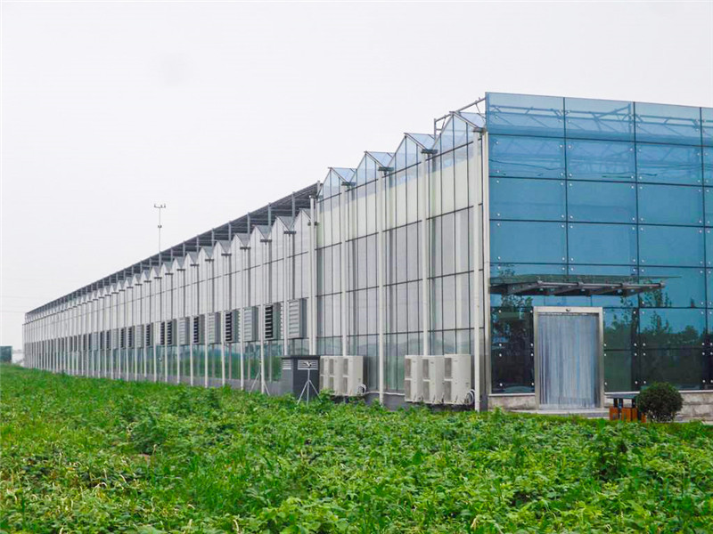 玻璃温室 玻璃温室