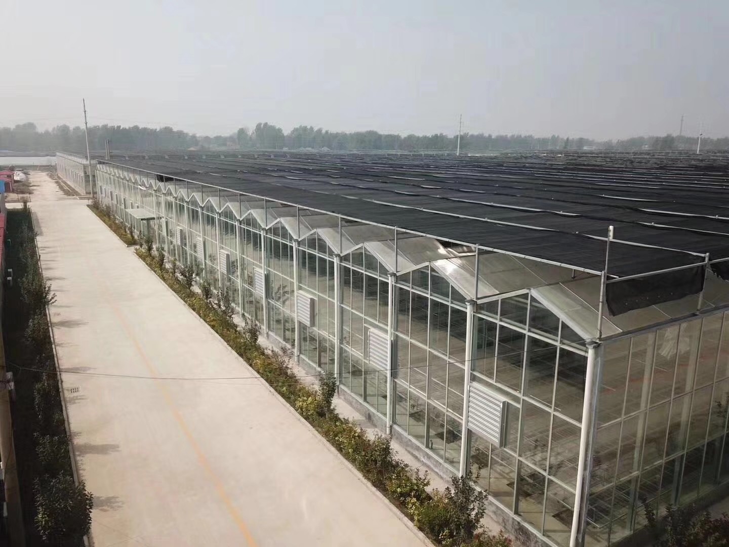 6018ae48c289f.jpg 6018ae48c289f.jpg