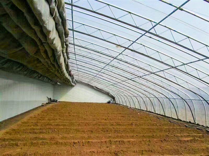 6035fcbc9de64.jpg 60137b6162f09.jpg