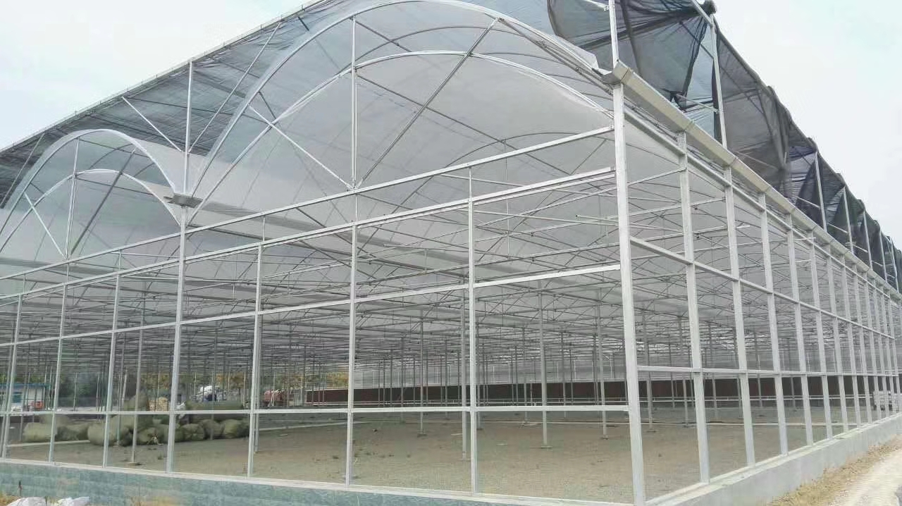 6039dbed395bf.jpg 6039dbed395bf.jpg