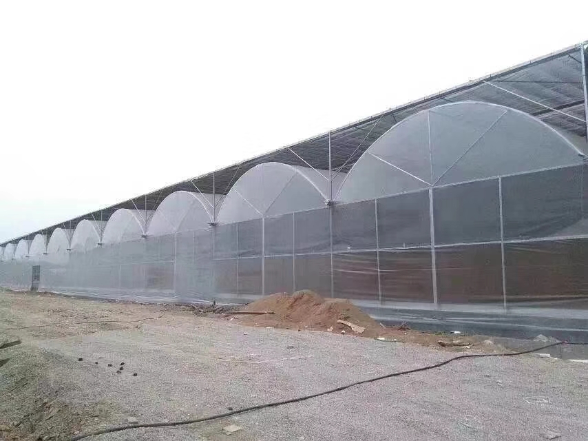 6039dbffdabe9.jpg 6039dbffdabe9.jpg