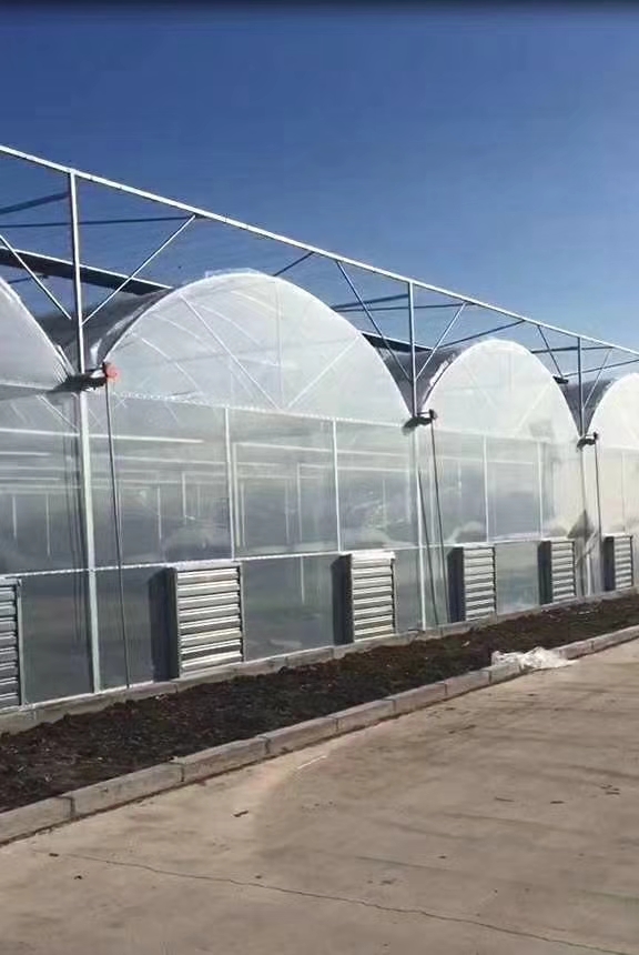 6039dc189446b.jpg 6039dc189446b.jpg