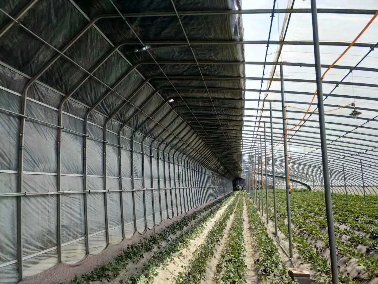 604427c646983.jpg 604427c646983.jpg