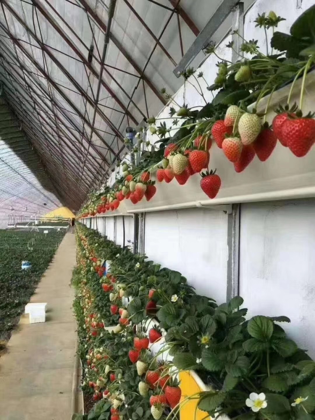 604428555cd69.jpg 604428555cd69.jpg