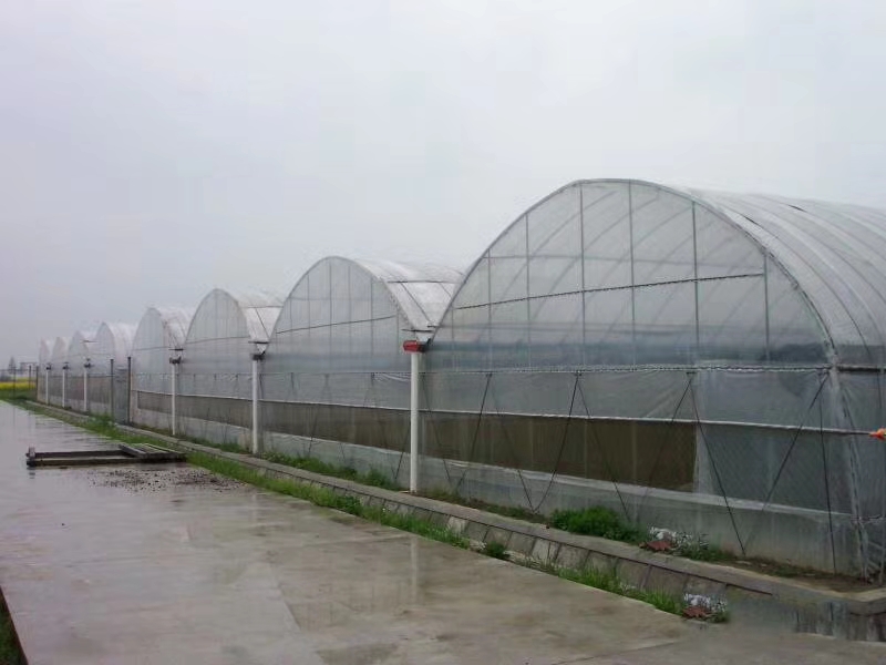 6044296367e73.jpg 6044296367e73.jpg