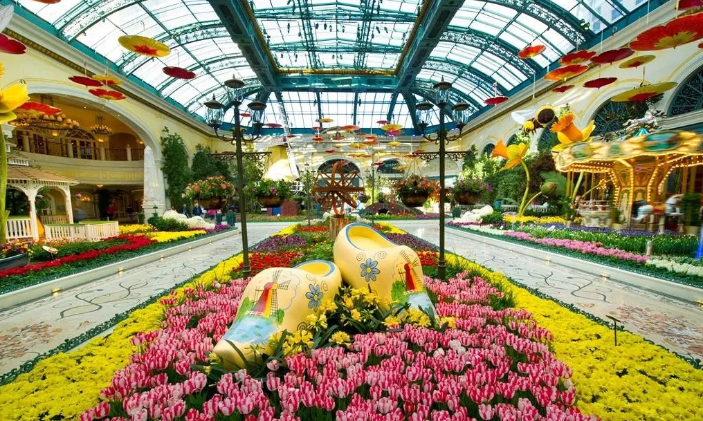 606016634ed2e.png image.png