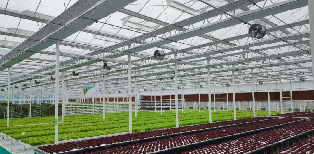 6060168e15c3a.png image.png