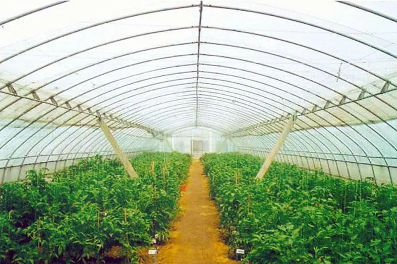 606016d6cca64.png image.png