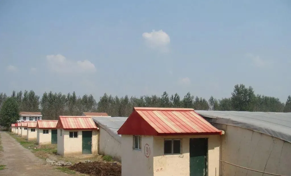 606016fb6a350.png image.png