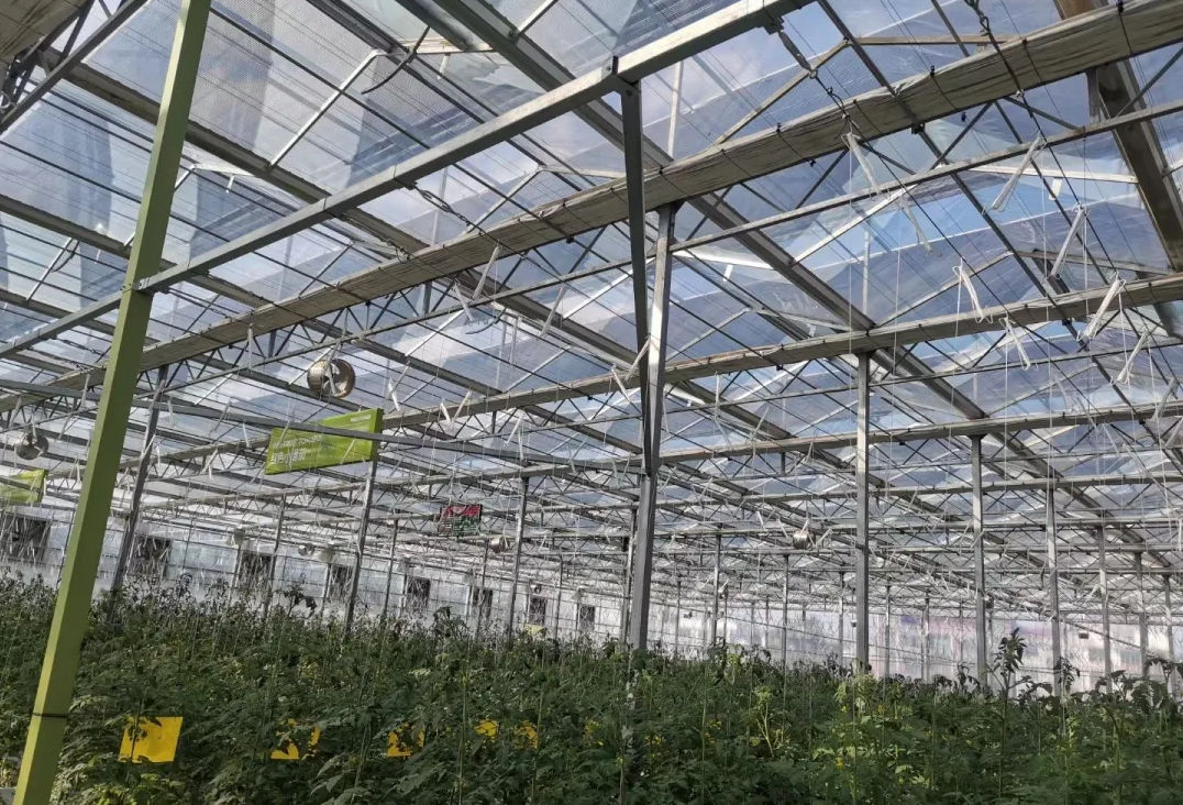 6060171c8bc43.png image.png