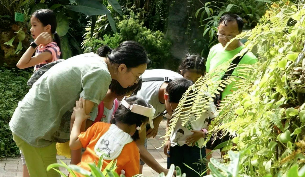 606017d6cf906.png 606017d6cf906.png