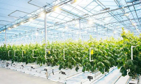 6060183285b48.png 6060183285b48.png