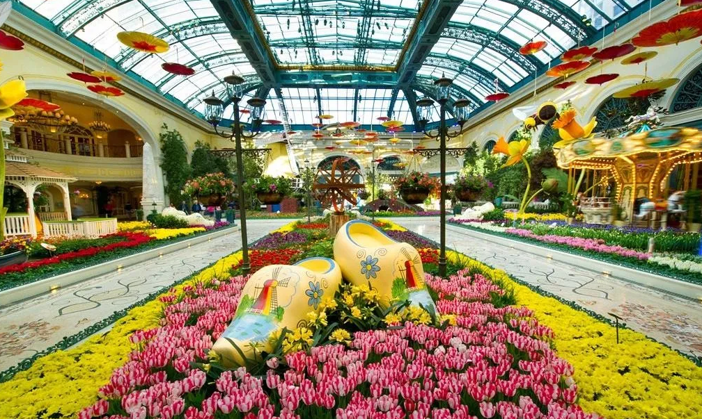 606018a493a28.png image.png