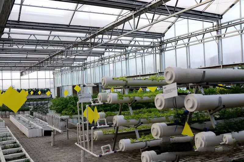 6073df88a6adf.jpg 微信图片_20201011092026.jpg