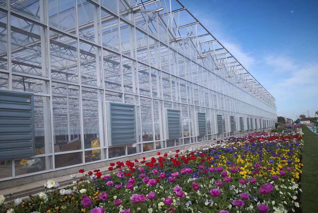 608ba3648523c.jpg 608ba3648523c.jpg