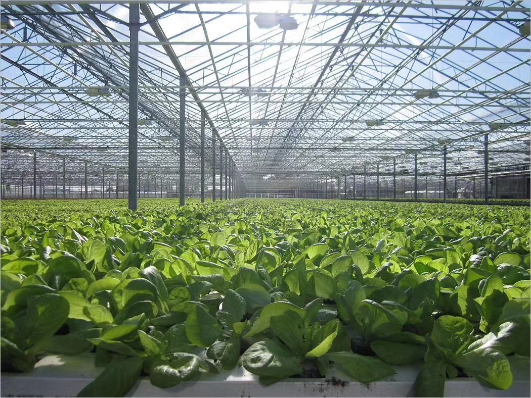 60b448b0cf7d4.jpg 60b448b0cf7d4.jpg