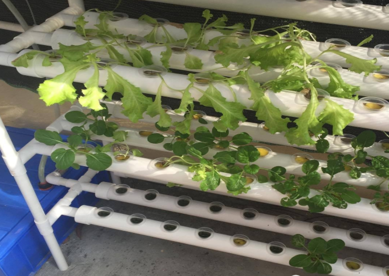 60b48213a427a.png image.png