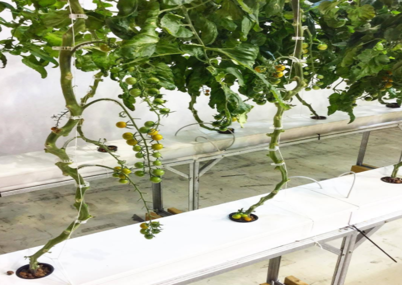 60b48248bf483.png image.png