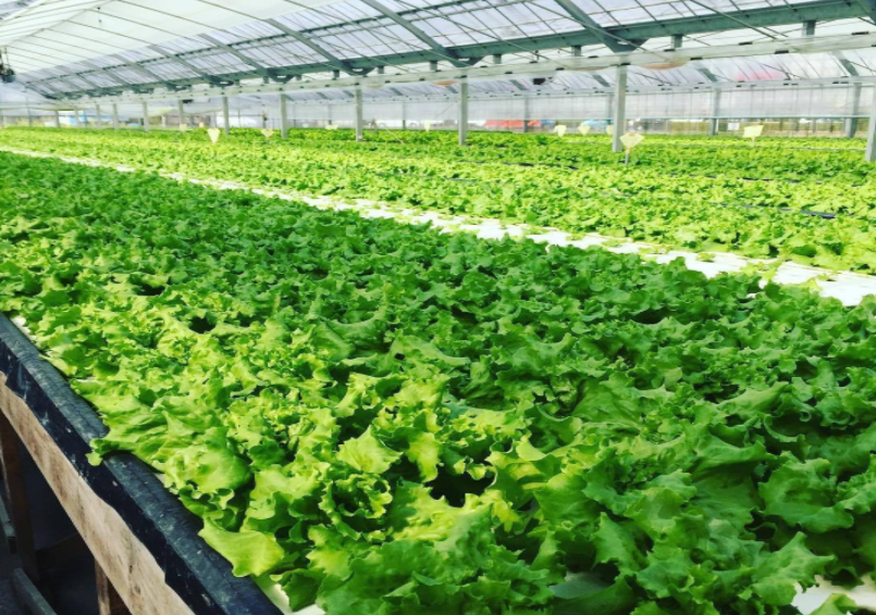 60b48273f2ff7.png image.png