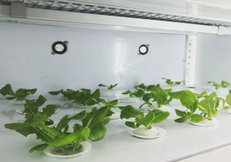 60b4829d0316f.png image.png