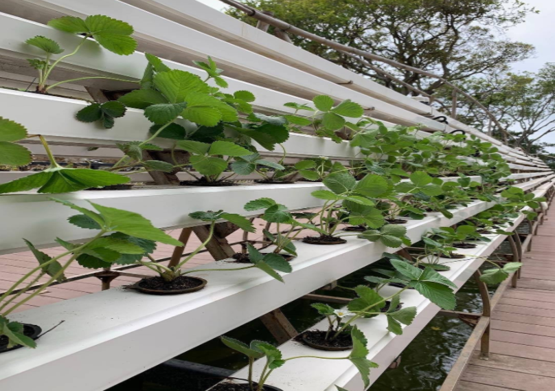 60b48340cf5dd.png image.png