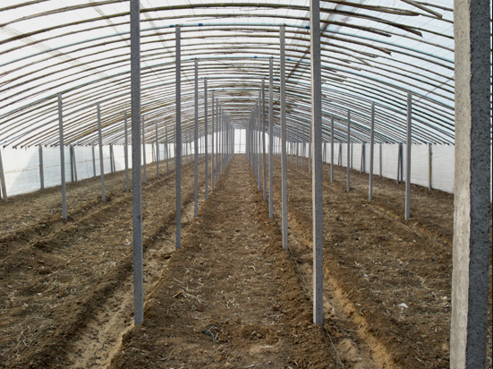 60b5e9033fa48.png 60b5e9033fa48.png