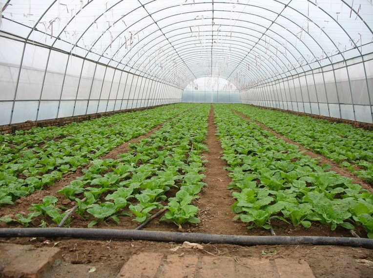 60b5e9599e5e2.png 60b5e9599e5e2.png