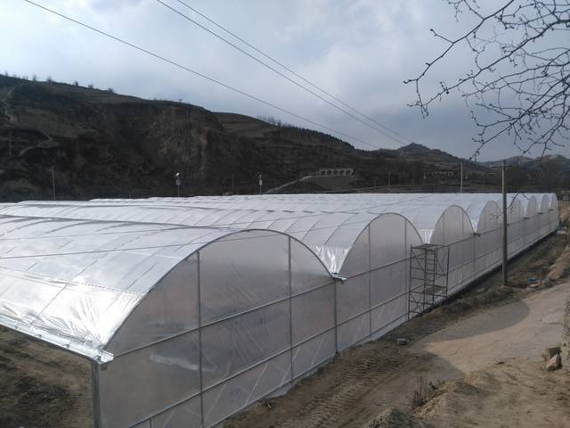 60b5eb01dfc28.jpeg 60b5eb01dfc28.jpeg