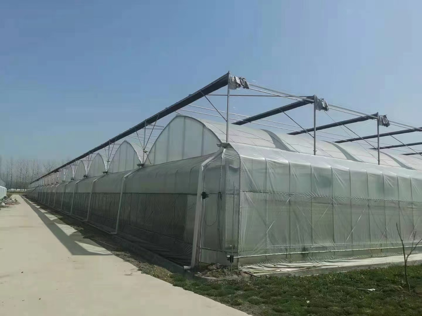 60b5ee6eb51a9.jpg 60b5ee6eb51a9.jpg