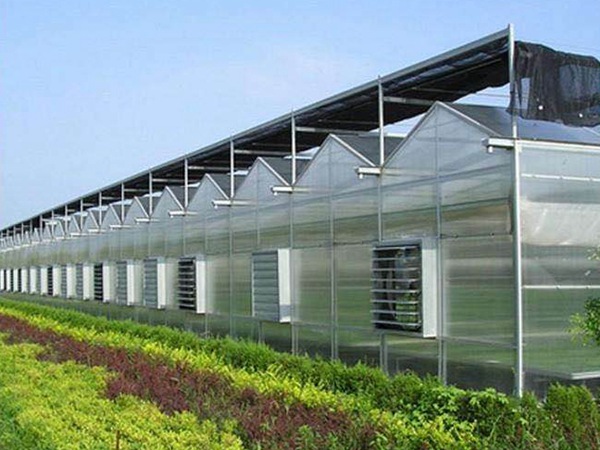 60b5ef3d409a6.jpg E2B5B7C12AE1B51A4F44F802C7BB30F8.jpg