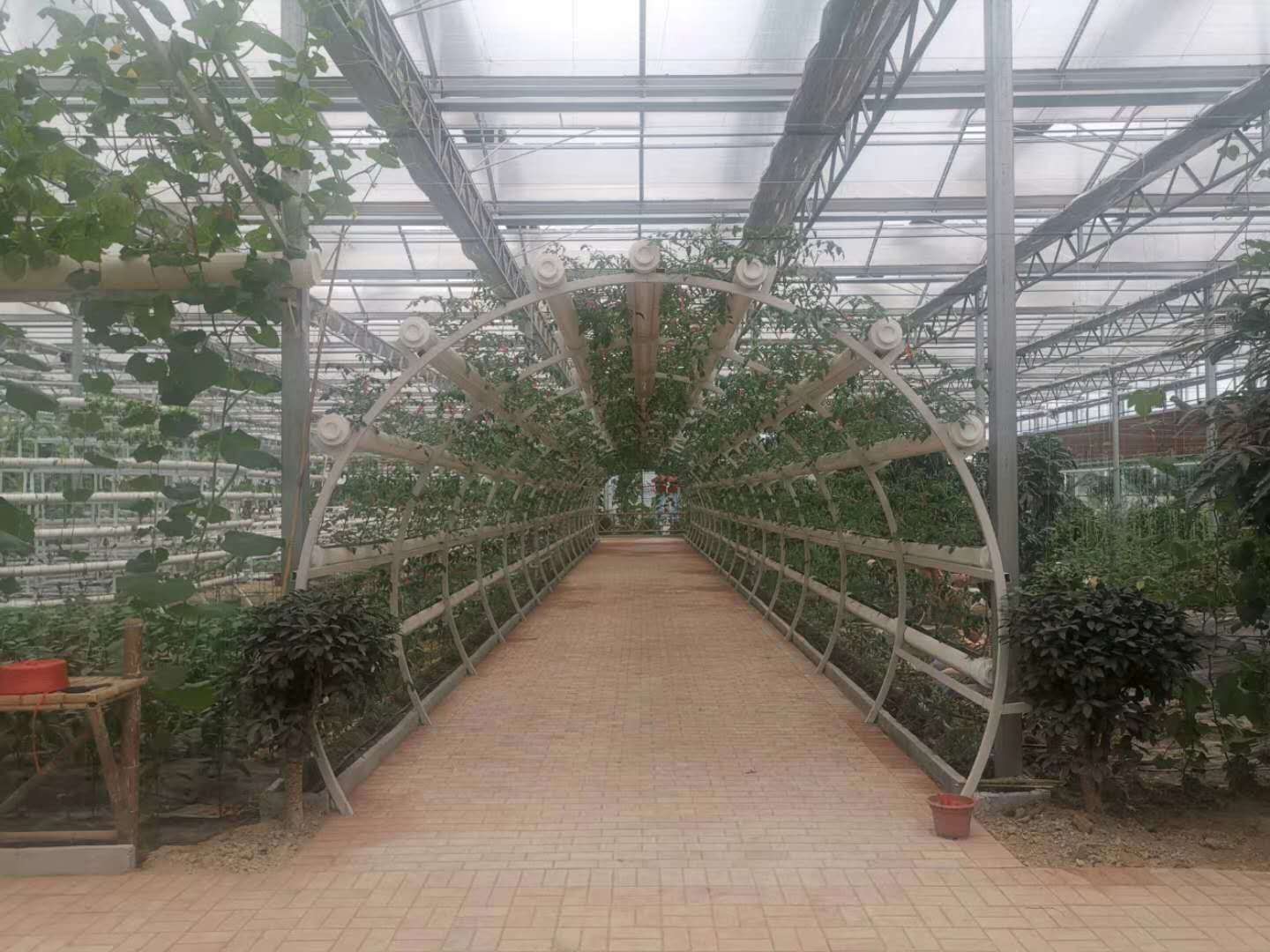 60b8315ad2fda.jpg 60b8315ad2fda.jpg