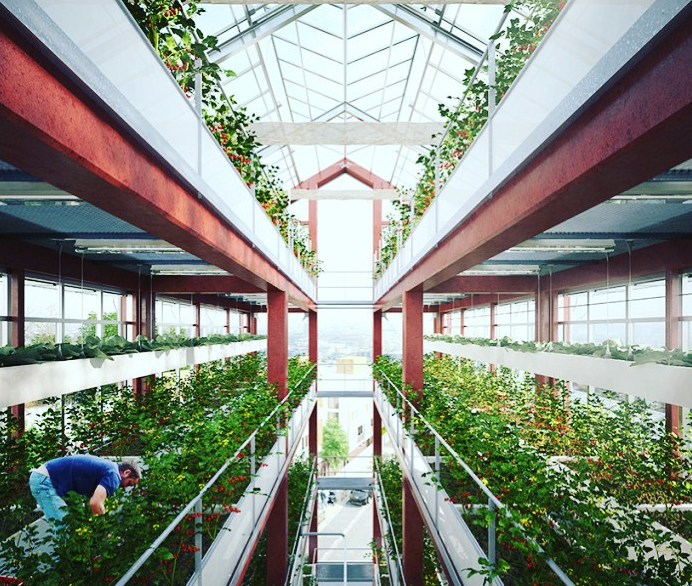 60fe1bd8260be.png image.png