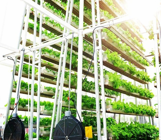 60fe1bfb84412.png image.png