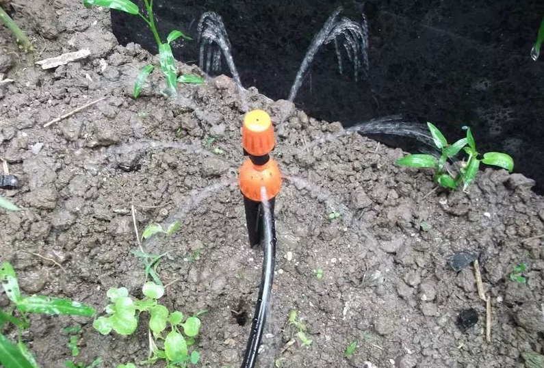 60ff777296894.png image.png