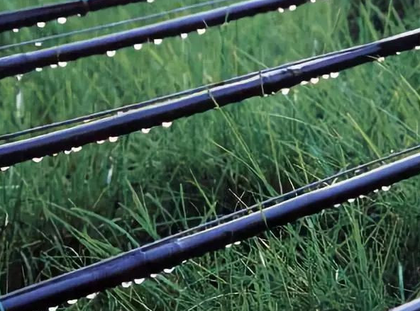 60ff779b3a54d.png image.png