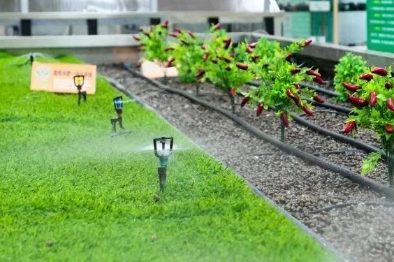 60ff77cc74d47.png image.png