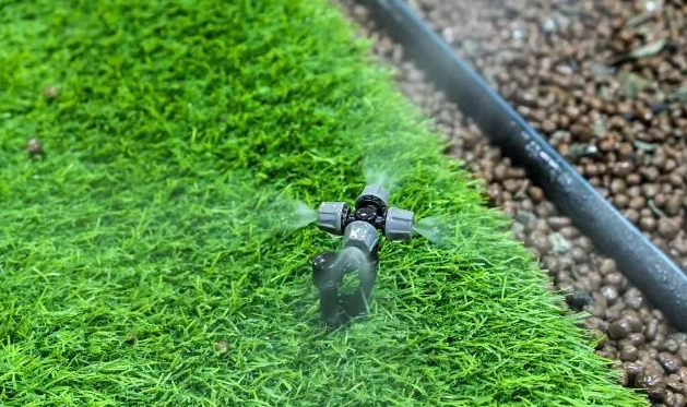 60ff77ee1a82c.png image.png