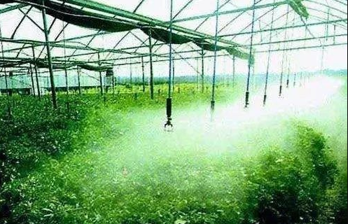 60ff780d49d77.png image.png