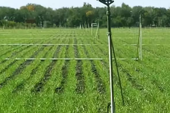 60ff786b8cc28.png image.png