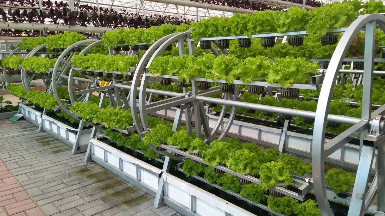 60ff78c5b104f.jpg 60ff78c5b104f.jpg