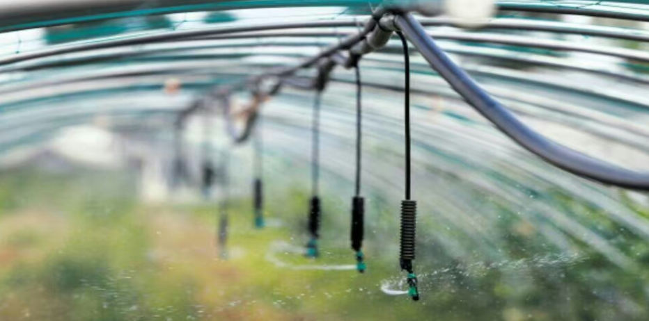 61371e2233c2e.png image.png