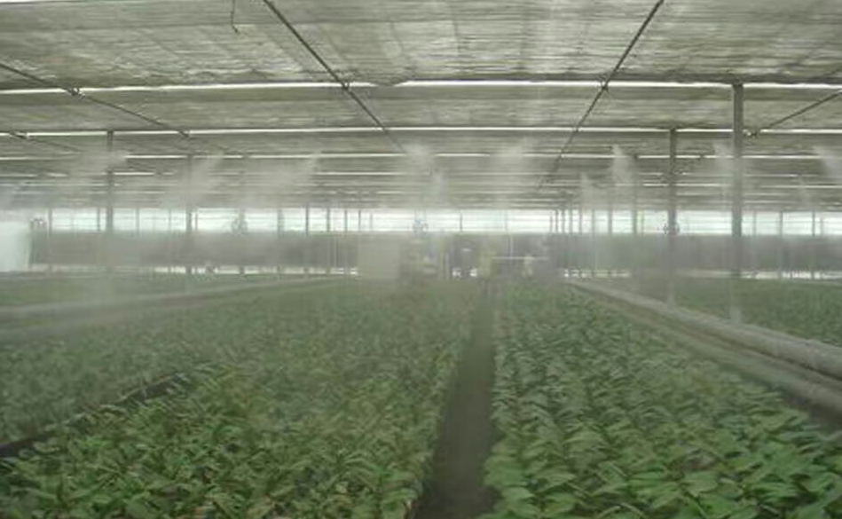 61371e4c85acf.png image.png