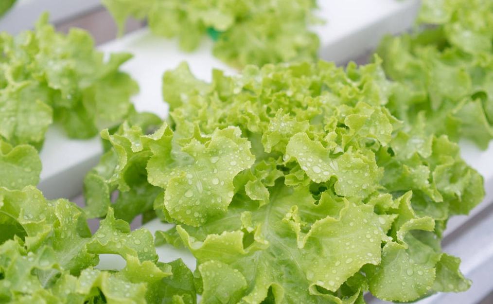 613f09db68faa.png image.png