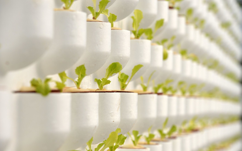 613f0a72a8525.png image.png